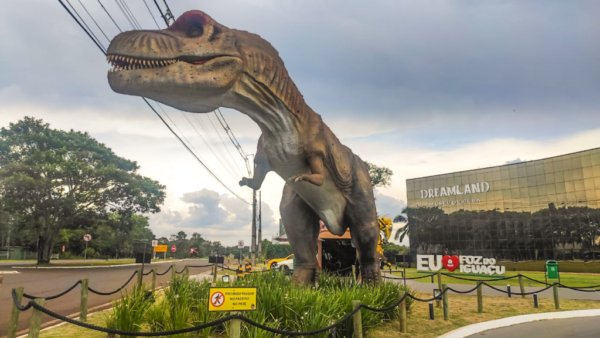 Ingressos Dreams Park Show - Pacote 05 atrativos + Eco Park (Falcoaria)
