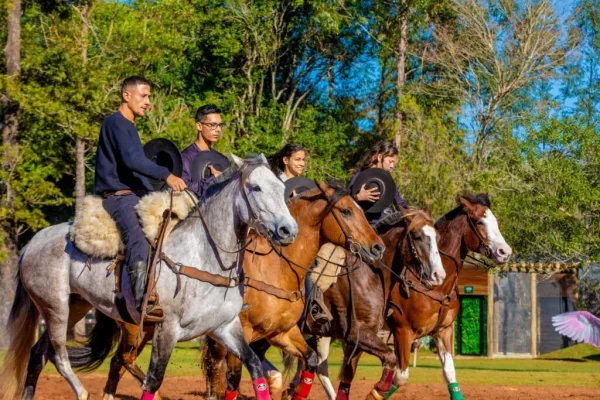 Ingressos Dreams Park Show - Pacote 05 atrativos + Eco Park (Falcoaria) - Image 5