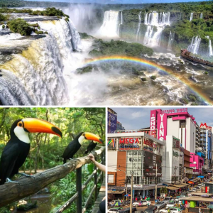 Translado In e Out + Cataratas Brasileiras + Parque das Aves + Compras Paraguai (sem ingressos)