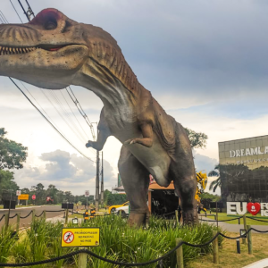 Ingressos Dreams Park Show - Pacote 05 atrativos + Eco Park (Falcoaria)