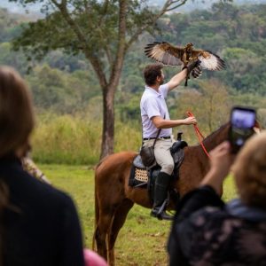 Ingresso – Eco Park / Falcoaria Mautone + apresentação dos voos