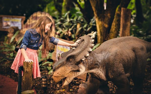 Ingresso: Vale dos Dinossauros - Imagem 3